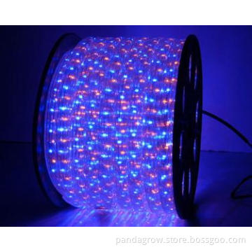 120V, 230V, 2 Wire Green Color LED Rope Light for Decoration